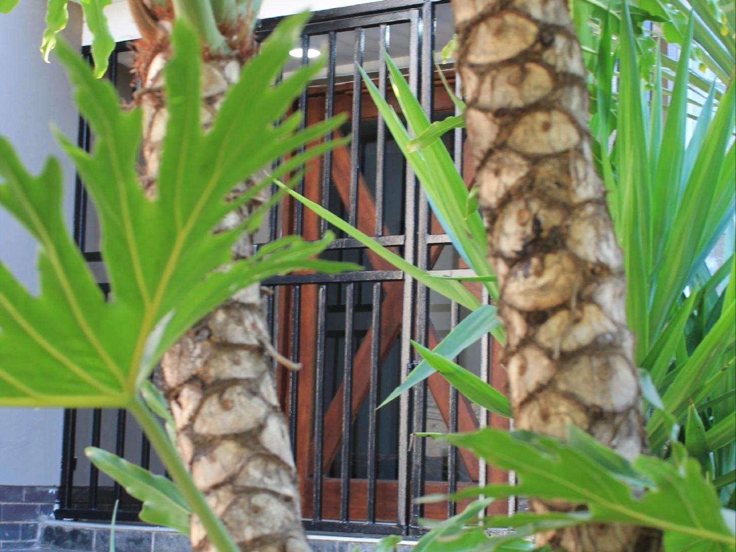 Wild Tree Lodge Benoni Exterior foto